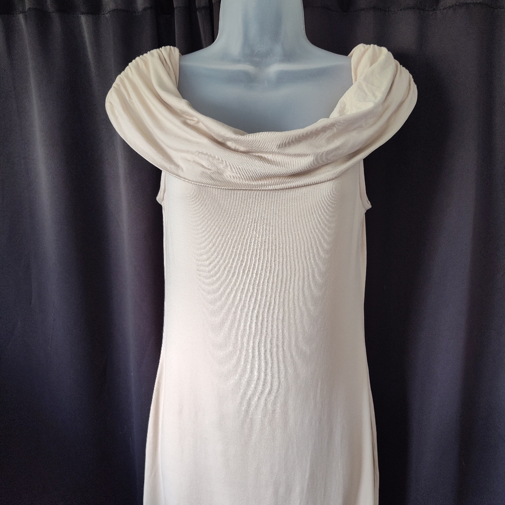 Elegant Cream Cowl Neck Dress